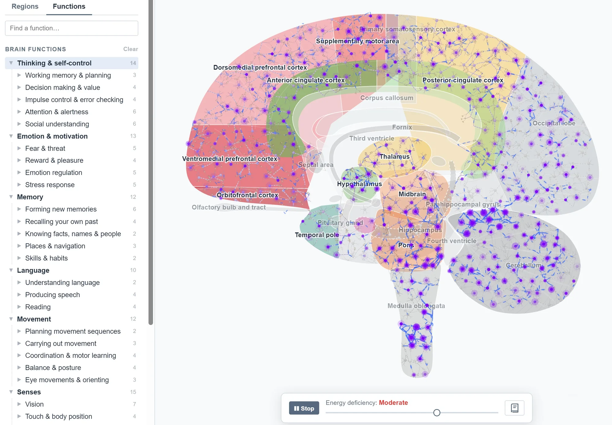Brain Energy: brain functions list next to a mid-sagittal brain map with active neurons, and the energy deficiency slider
