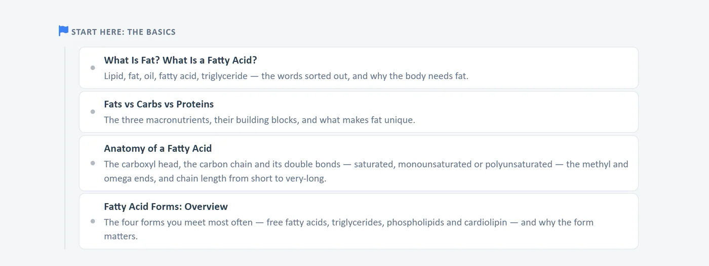 Learn: start here, the basics