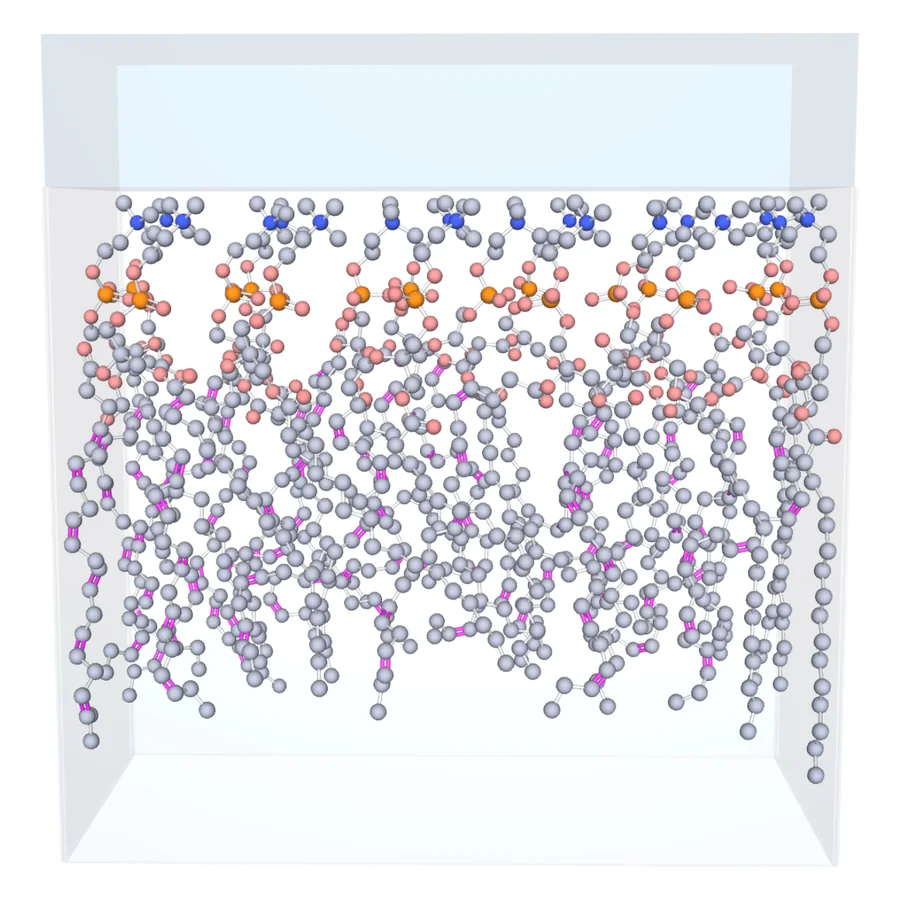 Membrane Simulator: a lipid bilayer patch